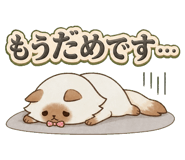 853299458