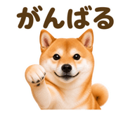 853299617