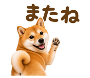 853299618