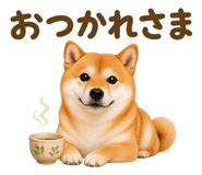 853299621