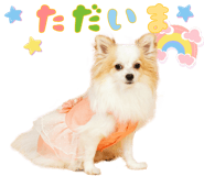 853300073