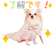 853300075