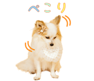 853300079
