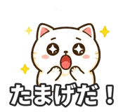 853300126