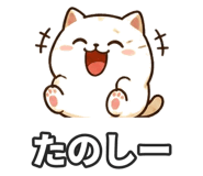 853300144