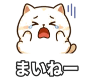 853300150