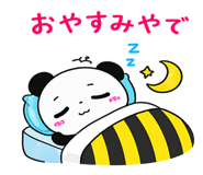 853300205