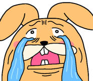 853300707