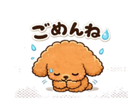 853300716