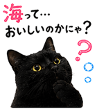 853300841