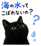 853300843