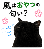 853300846