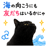 853300850