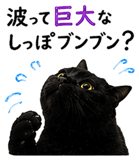853300851