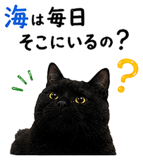 853300853
