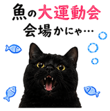 853300855
