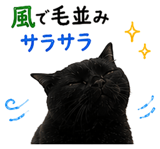 853300857
