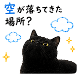 853300860