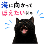 853300866