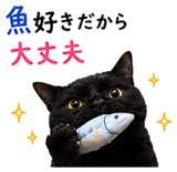 853300867