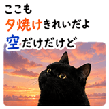 853300868
