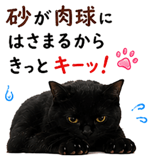 853300869