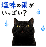 853300873