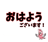 853302057