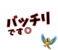 853302062