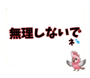 853302093