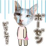 853302120