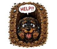 853302520