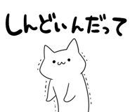 853303504
