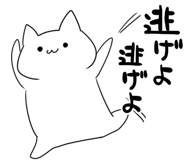 853303507