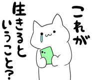 853303509
