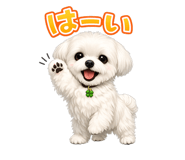 853304160