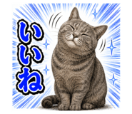 853304179