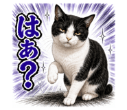 853304186