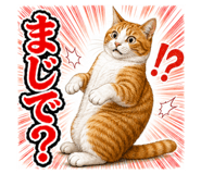 853304195