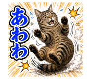 853304198