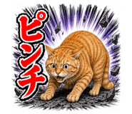 853304200