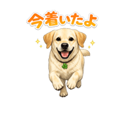 853304354
