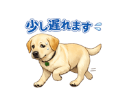 853304355