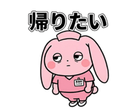 853304477