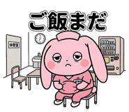 853304481