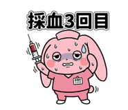 853304484