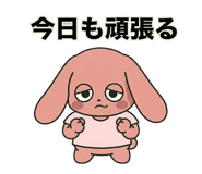 853304511