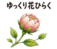 853304909