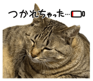 853306013