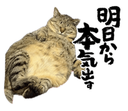 853306015